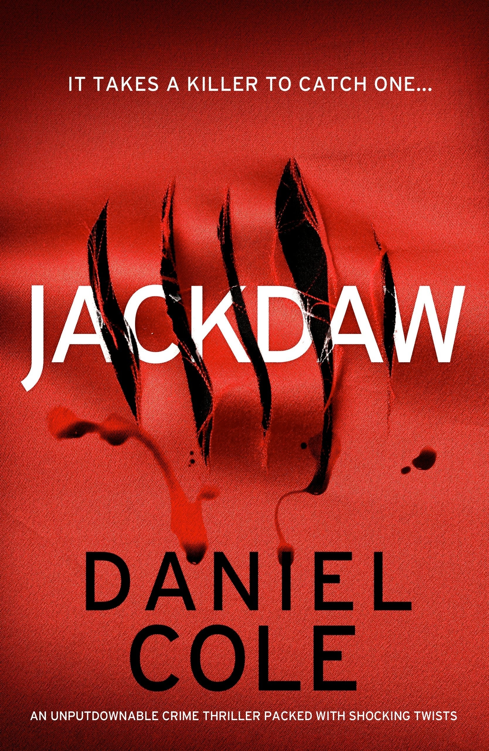 Book cover image for Jackdaw ISBN: 9781805082750